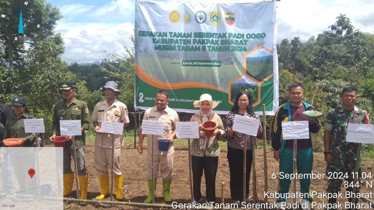 Kementan Laksanakan Gerakan Tanam Serentak Padi Gogo Di Pakpak Bharat
