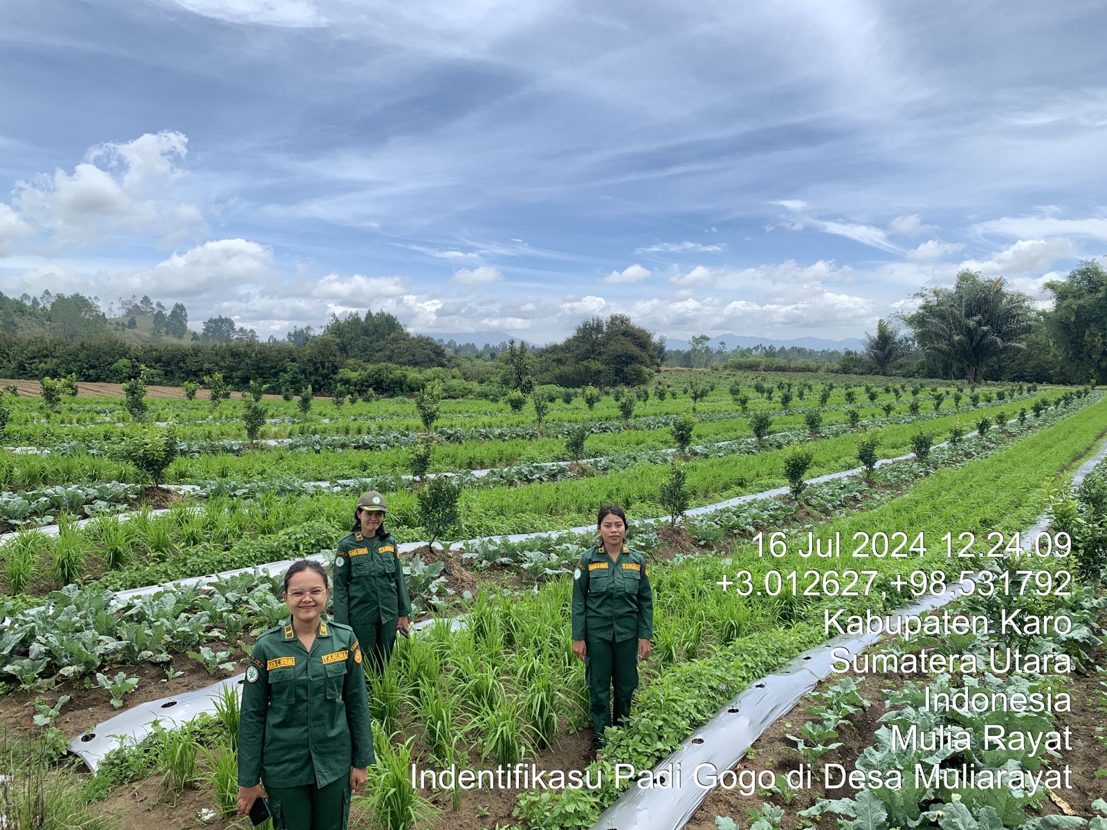 Mahasiswa Polbangtan Sukses Peta Poligon 2.123 Ha Lahan Di Karo