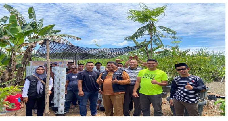 Universitas Labuhanbatu Budidaya Tanaman Sayur Pemanfaatan Teknologi Sonic Bloom