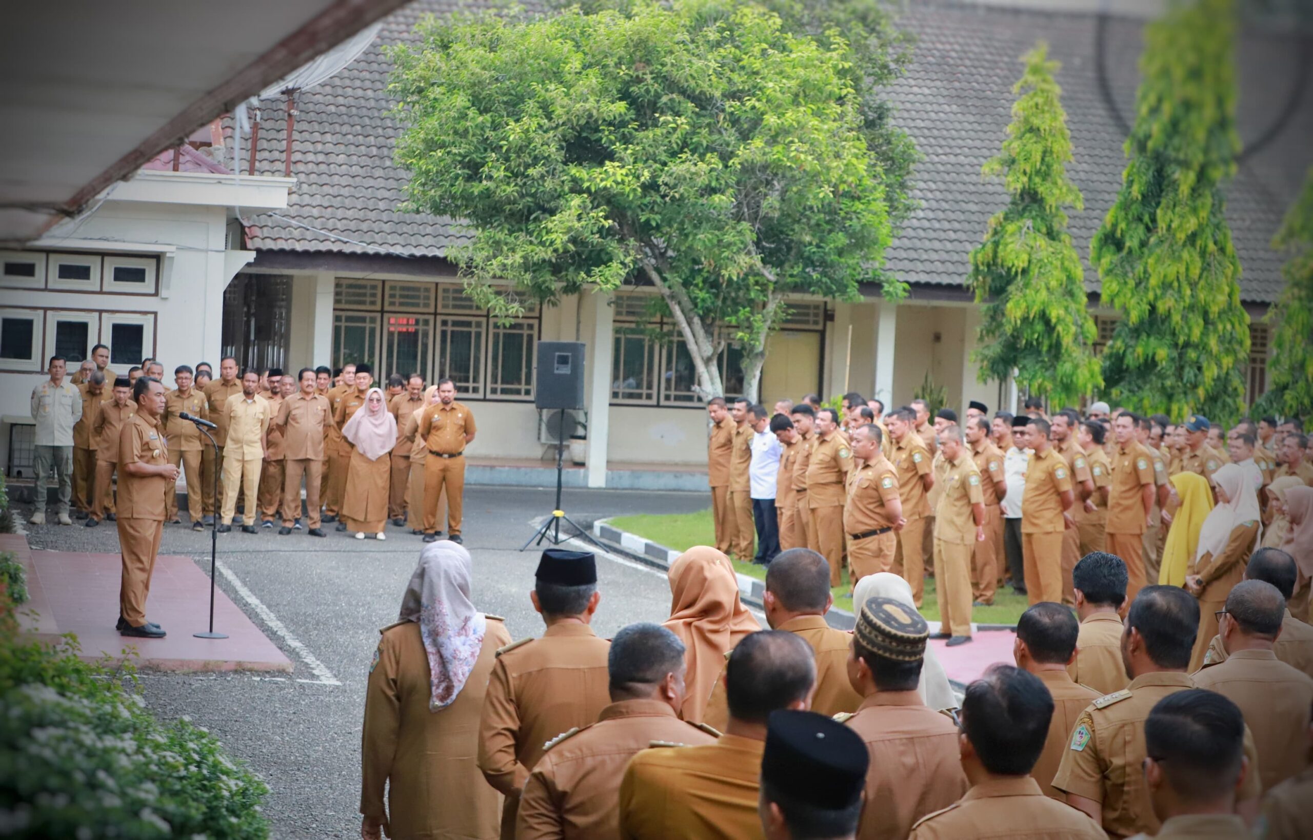 ASN Di Pidie Dibuat Bingung Pilih Calon Kepala Daerah