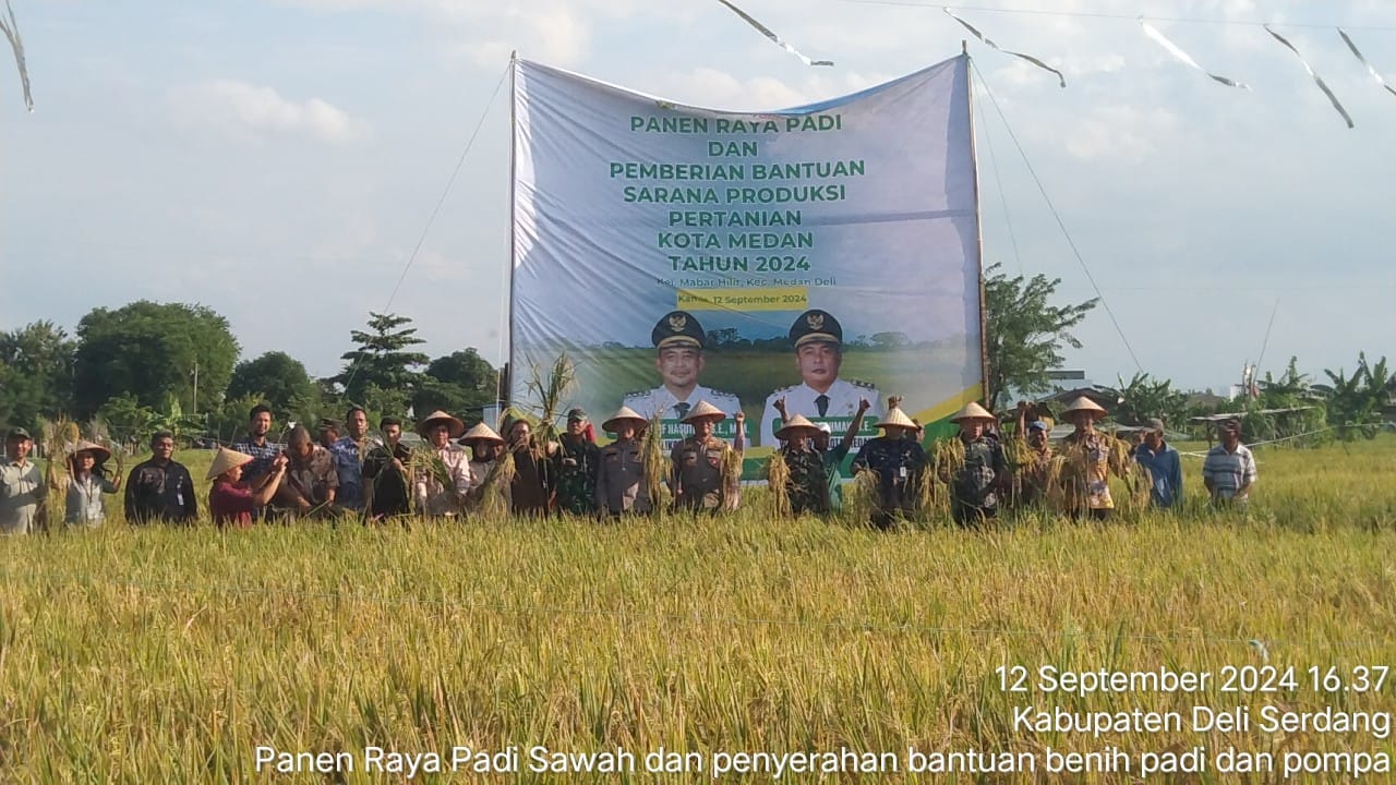 Kementan Dan Pemkot Medan Panen Raya Padi Sawah