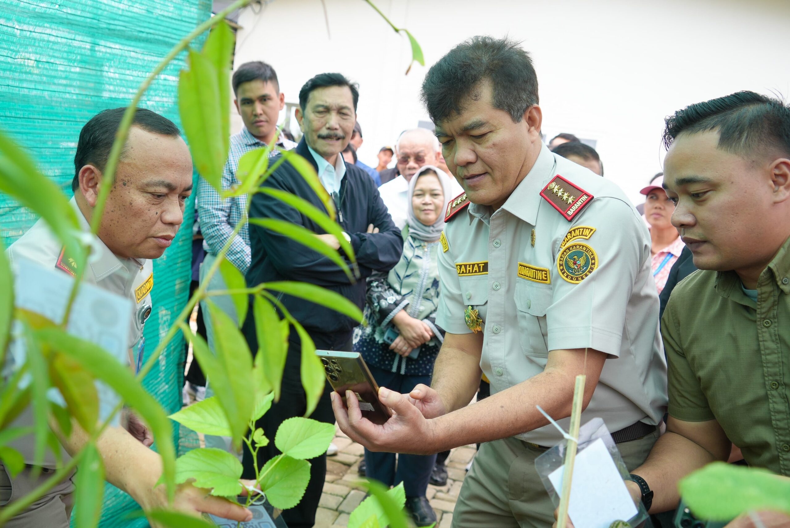 Menko Marves Dan Kabarantin Memastikan Kesehatan, Kualitas Benih Tanaman Herbal