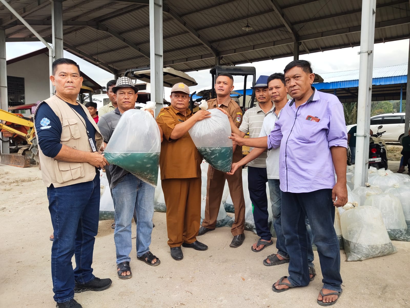 RSI Serahkan 52.500 Benih Ikan Tilapia Ke 10 Pokdakan Di Toba