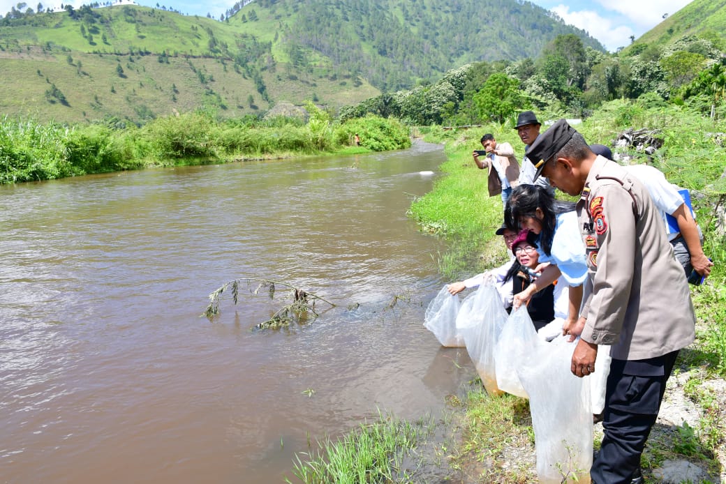 Pemkab Samosir Bersama DKP Provsu Tabur Benih Ikan Di Danau Toba