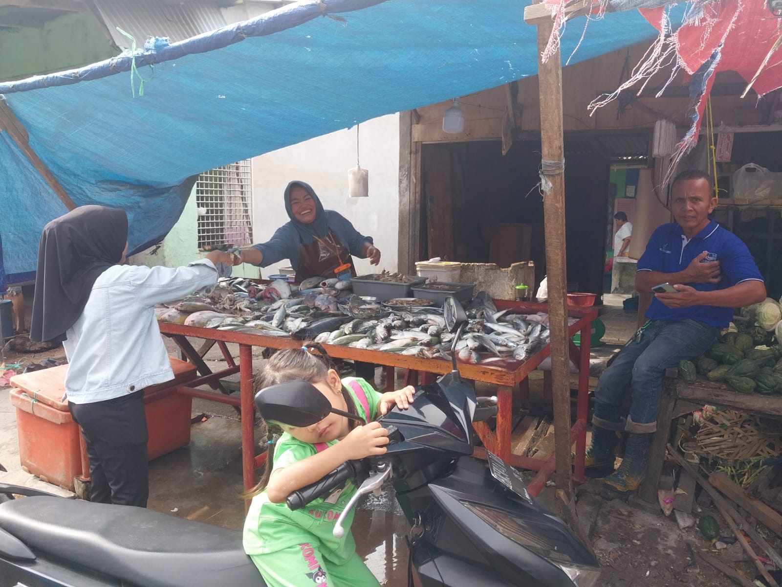 Harga Ikan di Deli Serdang Relatif Stabil