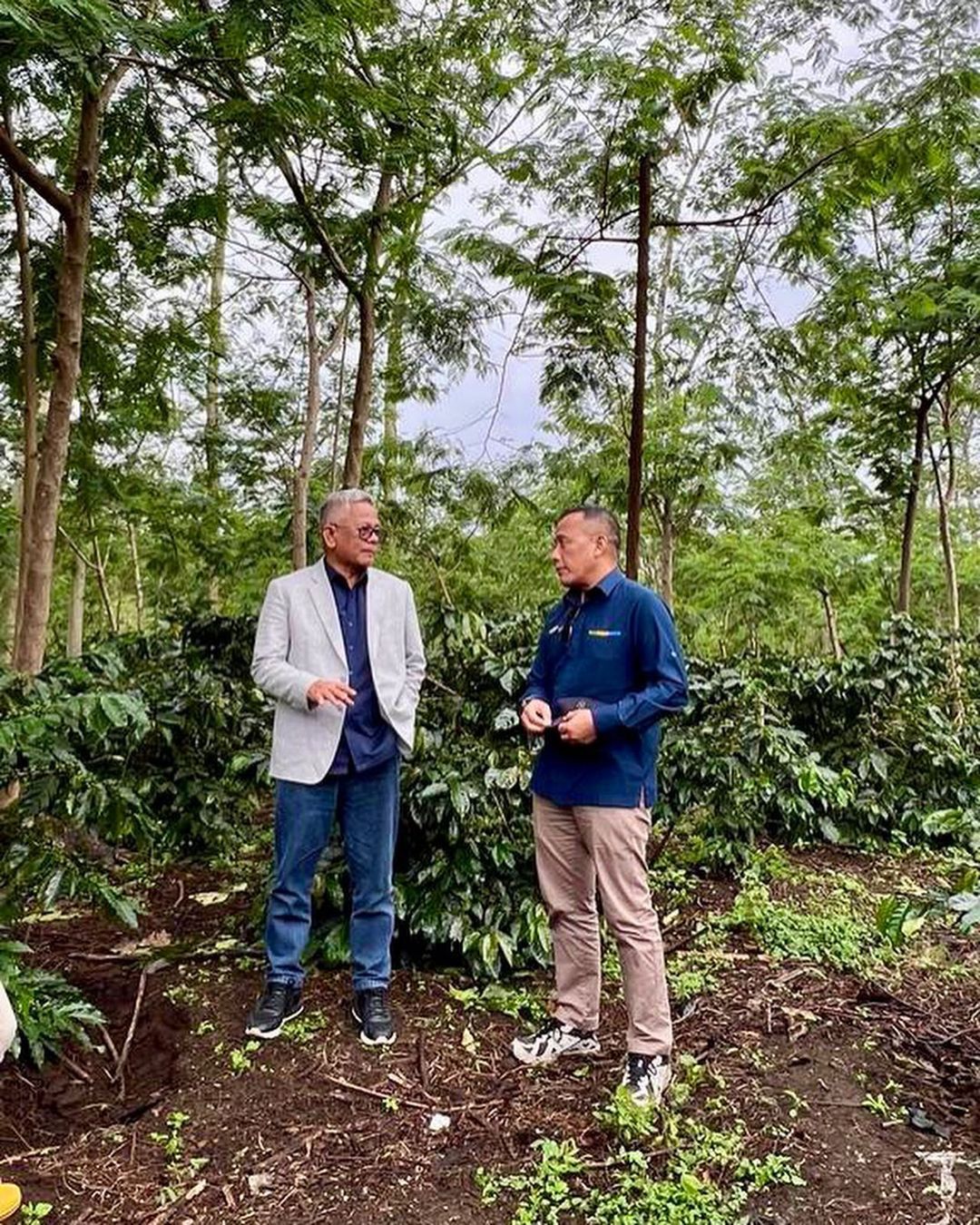 Berhasil Tingkatkan Produktivitas Kebun Kopi Arabika Tertua Ke 3, Palmco Bawa Java Coffee Kembali Mendunia