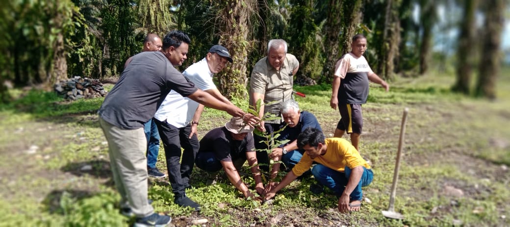 Akademisi USU Lakukan Kajian: Prospek Pengembangan Kebun Sawit Menjadi Agroforestry Berbasis Sawit