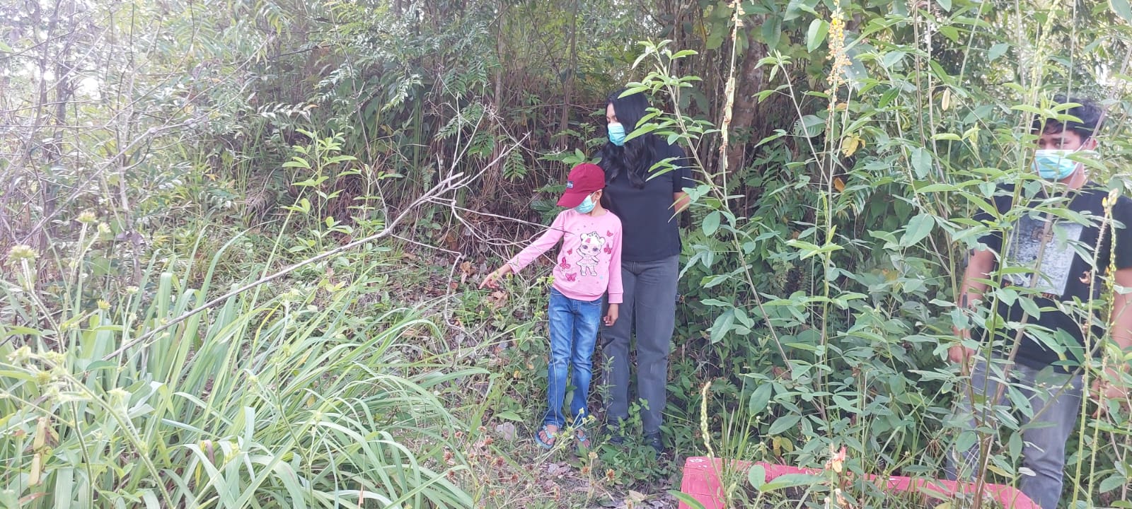 Terkait Kasus Pencabulan Anak Di Silaen, Orangtua Korban Minta Pelaku Dihukum Berat