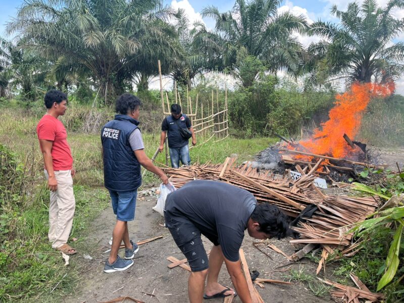 Polres Binjai Gerebek Barak Narkoba, 5 Pria Diamankan