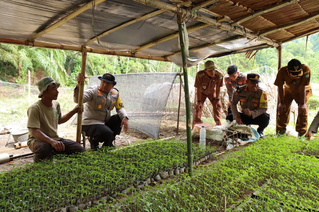 Kapolres Dukung Ketahanan Pangan Di Nangggroe Breuh Sigupai