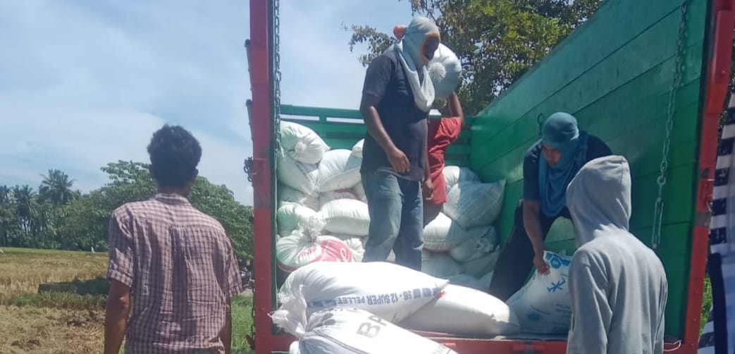 Harga Beli Gabah Dari Petani Bireuen Tak Sesuai