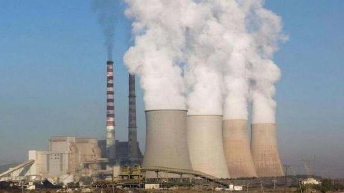 Trend Asia: Lagi-Lagi Pemerintah Indonesia Tawarkan Solusi Palsu Krisis Iklim di COP 29