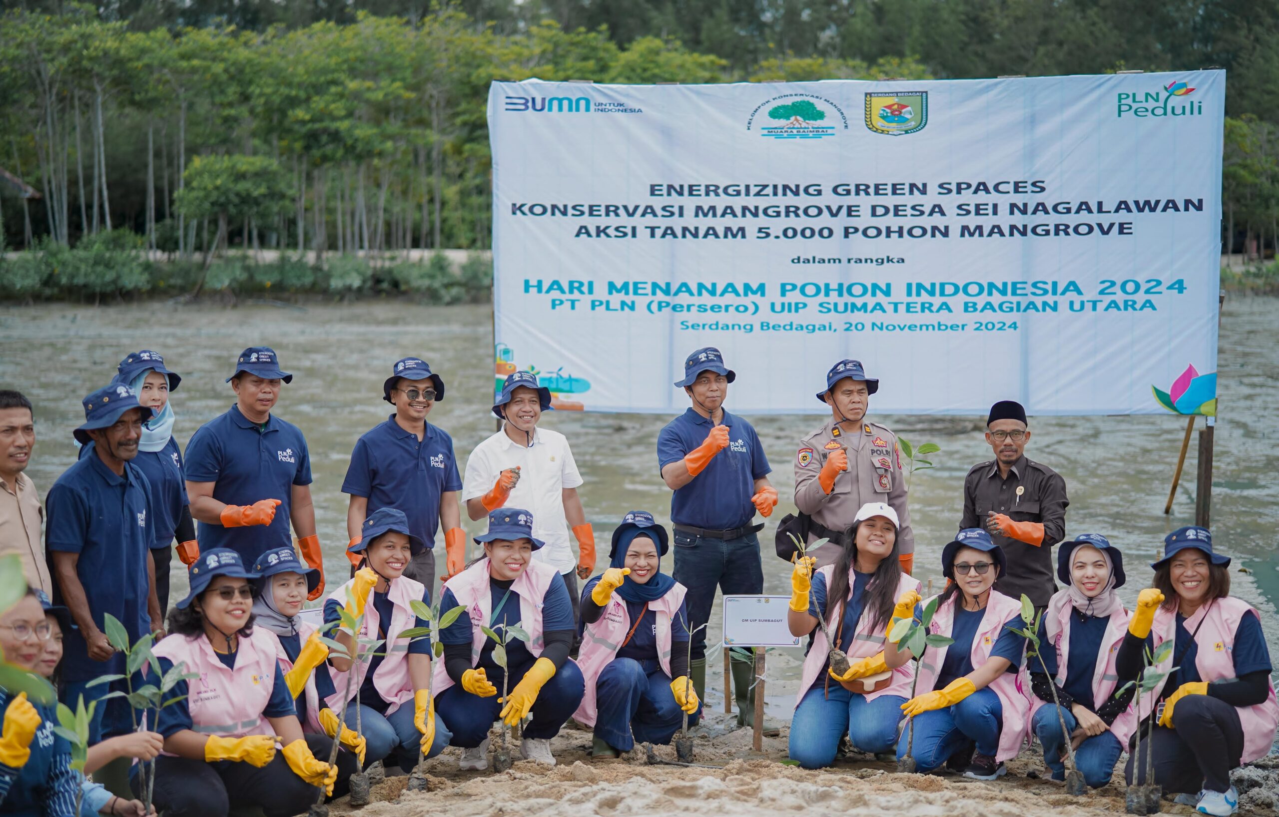 Sambut Nataru, Srikandi PLN Gelar Aksi Tanam 5.000 Mangrove Di Sergai