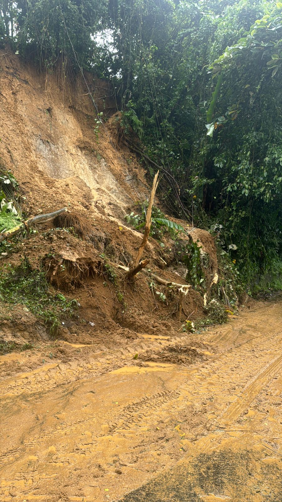 Deliserdang Berduka, Longsor 2 Meninggal Dunia