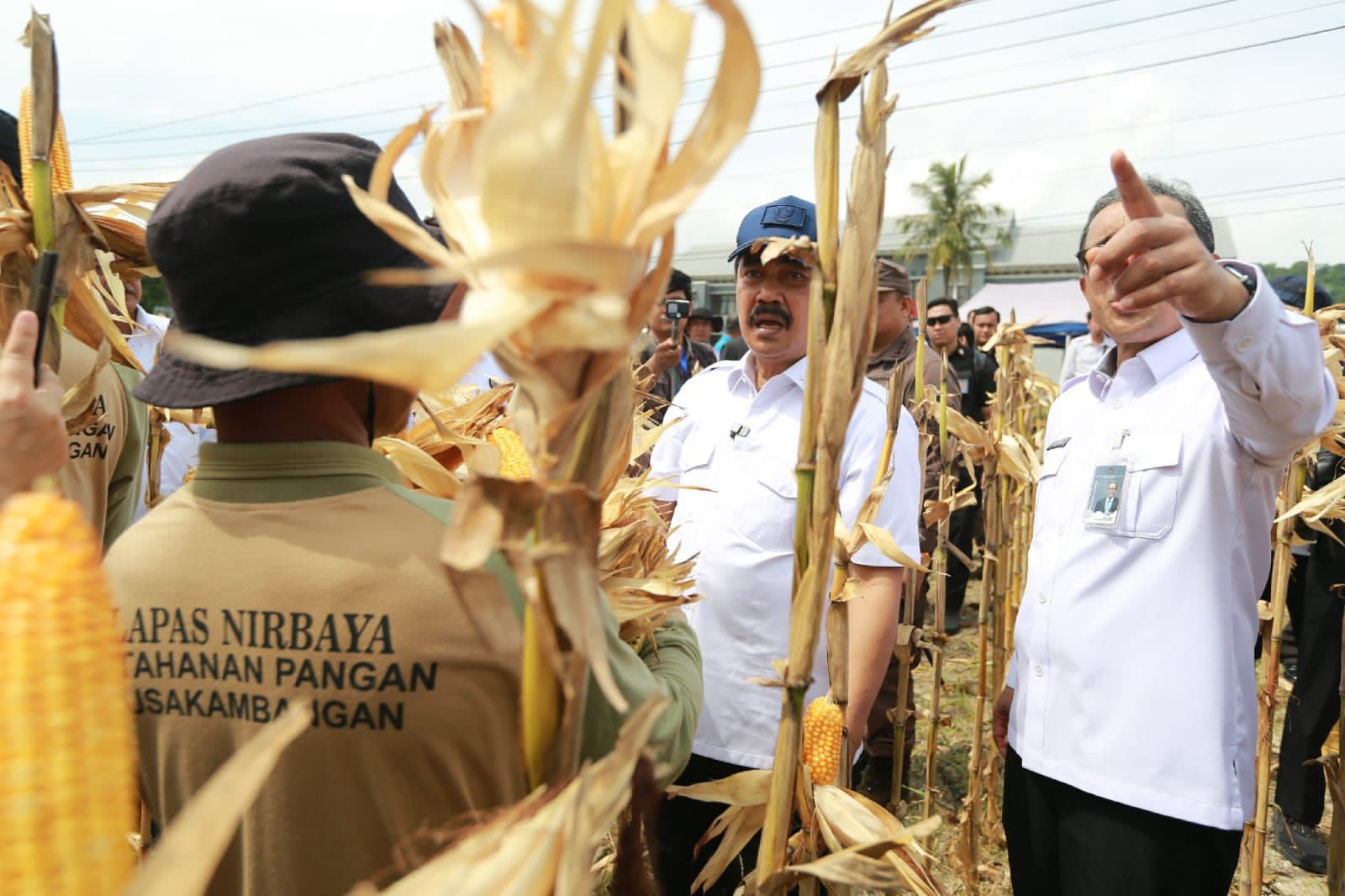 Kalapas Tebingtinggi Apresiasi Kegiatan Panen Perdana Menteri Imigrasi Dan Pemasyarakatan Di Lapas Nusakambangan