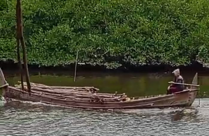 Kerusakan Hutan Mangrove Pesisir Timur Aceh Mengkhawatirkan