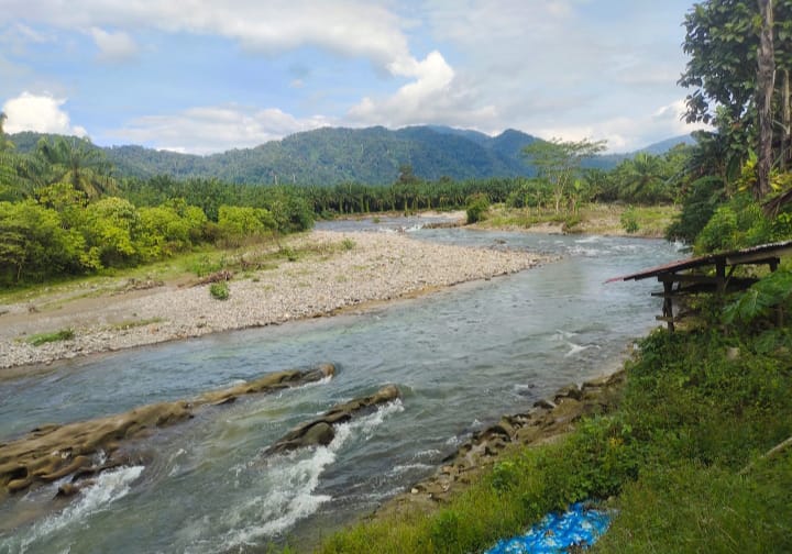 Seru, Mancing Di Lubuk Larangan Dibuka Buat Umum