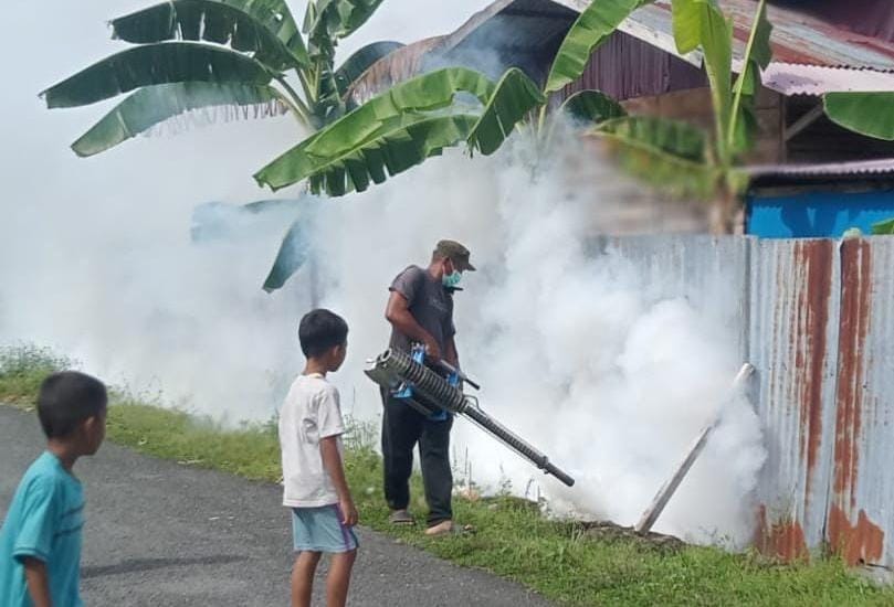 Aceh Singkil Endemis DBD, Hingga Mei Capai 36 Kasus