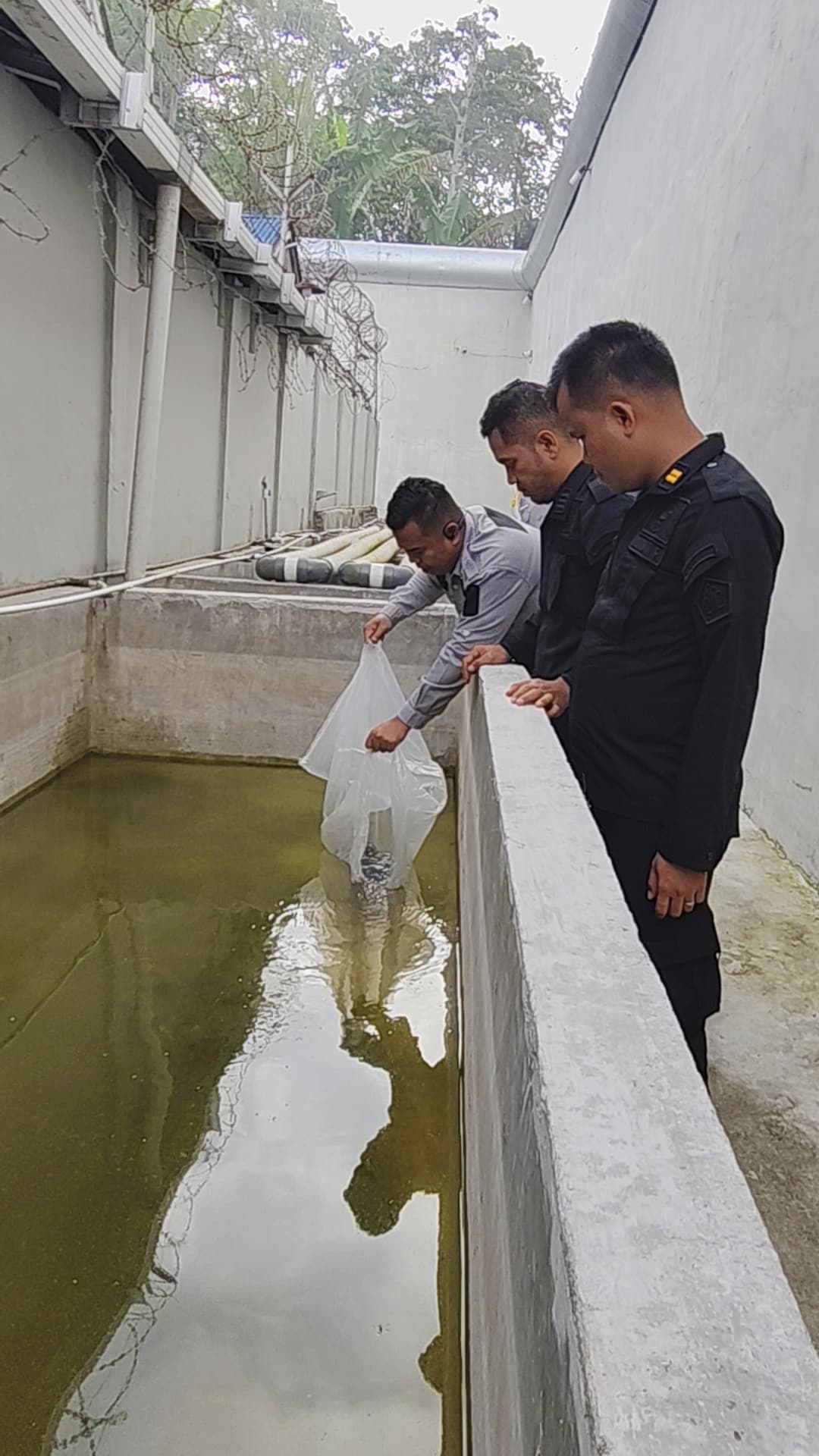 2.000 Benih Ikan Nila Ditabur Di Kolam Area Brandgang Rutan Tarutung
