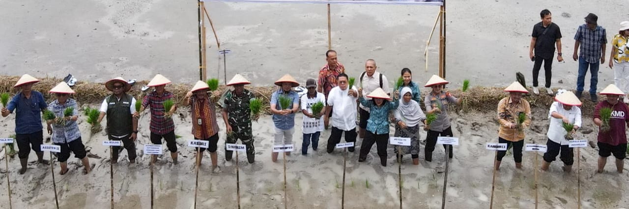 Wali Kota P.Siantar Bersama Forkopimda Tanam Padi Serentak