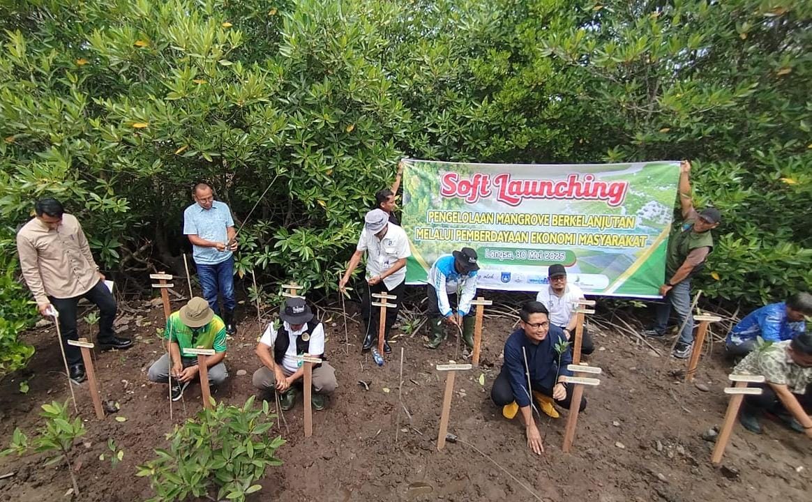 Wakil Wali Kota Langsa Dan Forest For Life Indonesia Tanam Mangrove Bersama