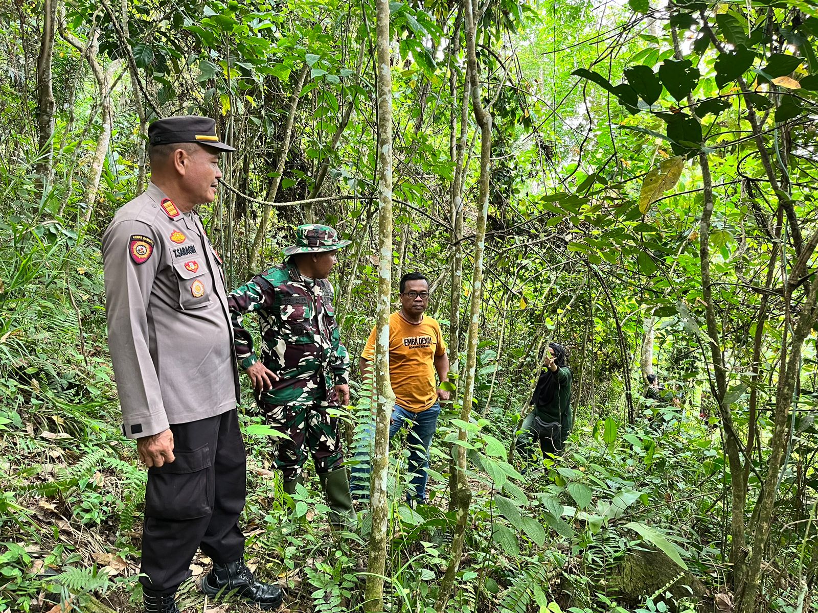 2 Warga Sidimpuan Lihat Harimau Di Kebun Karet, BKSDA Tak Temukan Jejak
