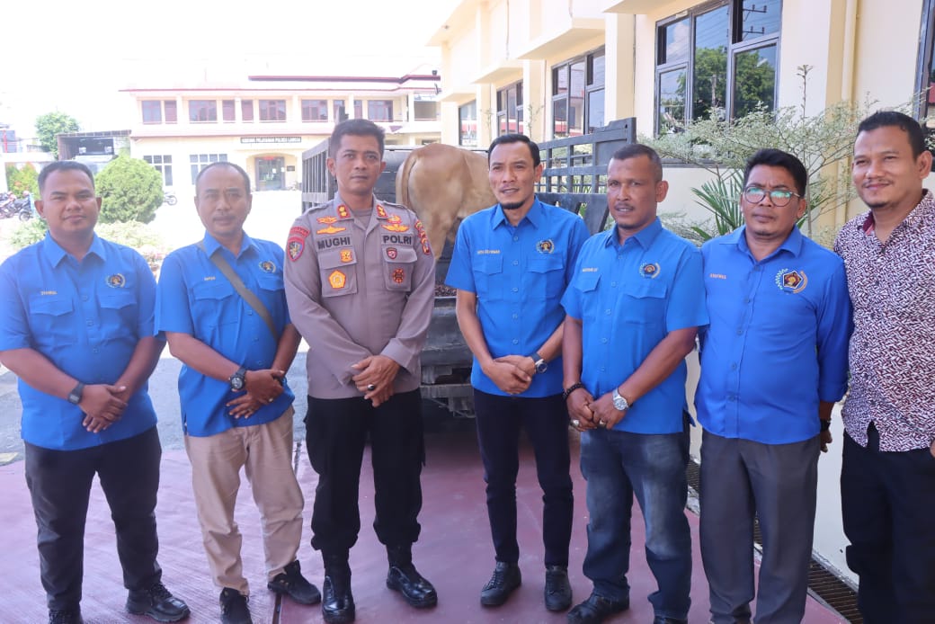 PWI Langsa Sembelih Tiga Sapi Untuk Jurnalis Di Idul Adha
