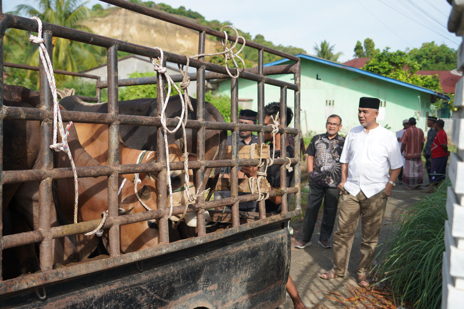Unimal Bagikan Sapi Kurban Untuk Masyarakat Sekitar Kampus
