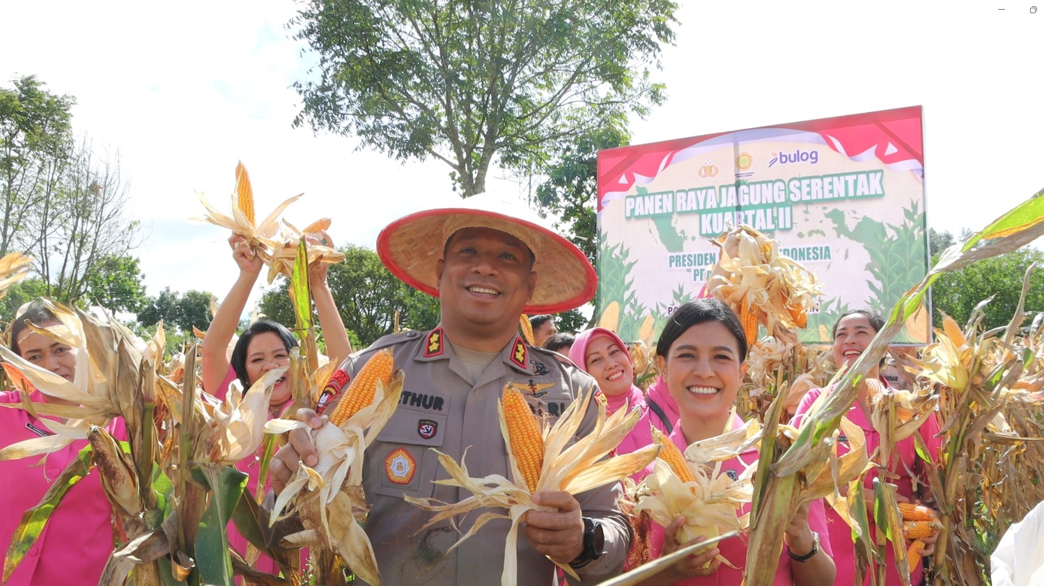 Kapolres Humbahas Panen  Raya Jagung