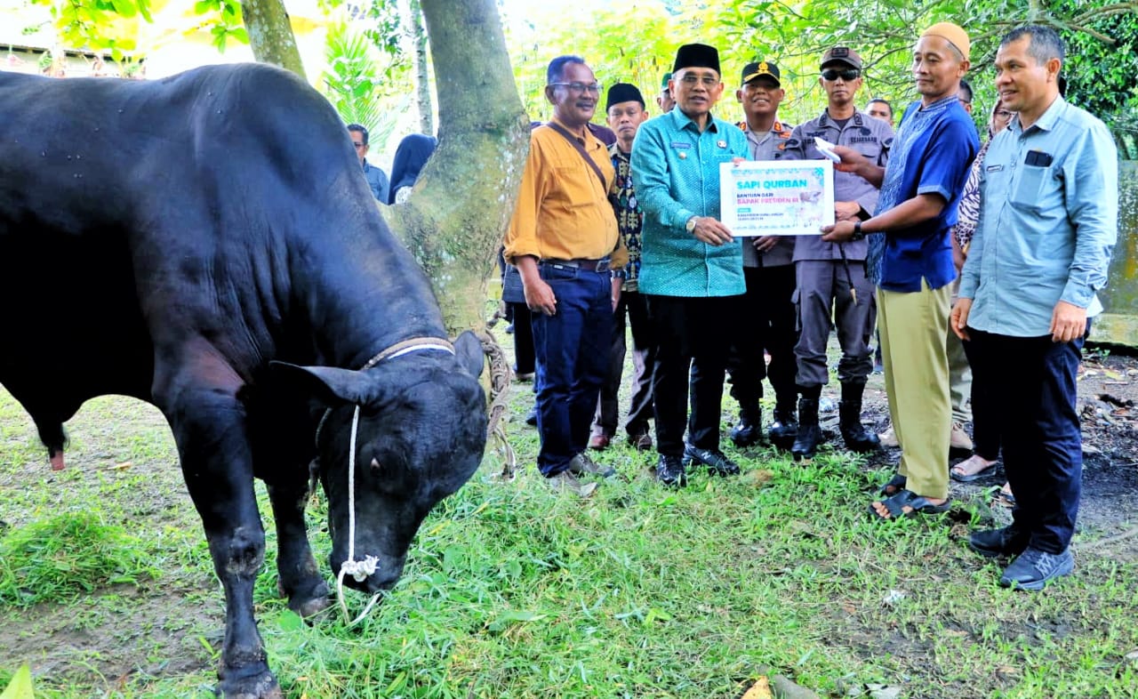 Bupati Simalungun Serahkan Hewan Kurban Presiden