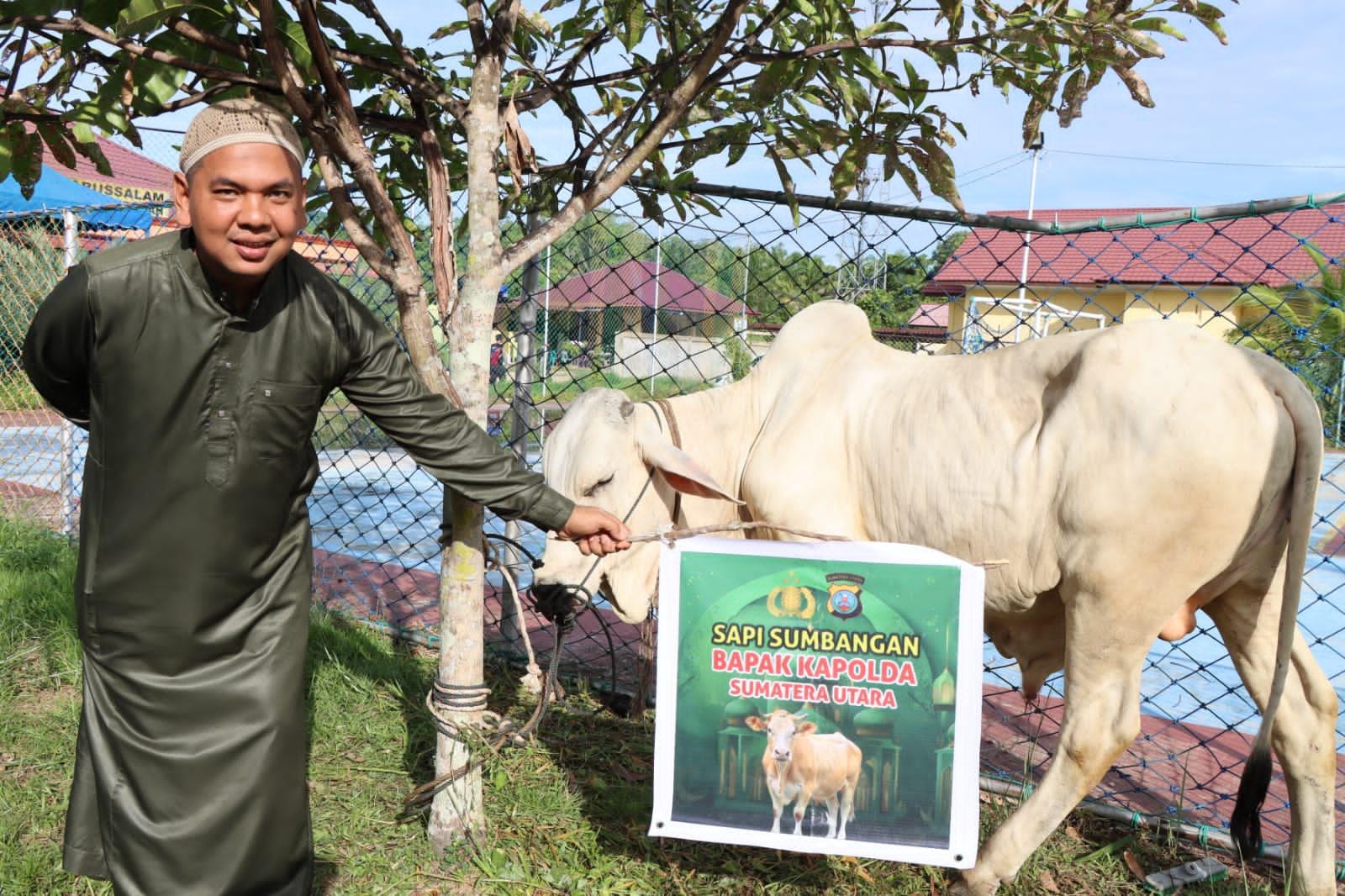 Polres Tapteng Sembelih Tujuh Hewan Kurban Idul Adha