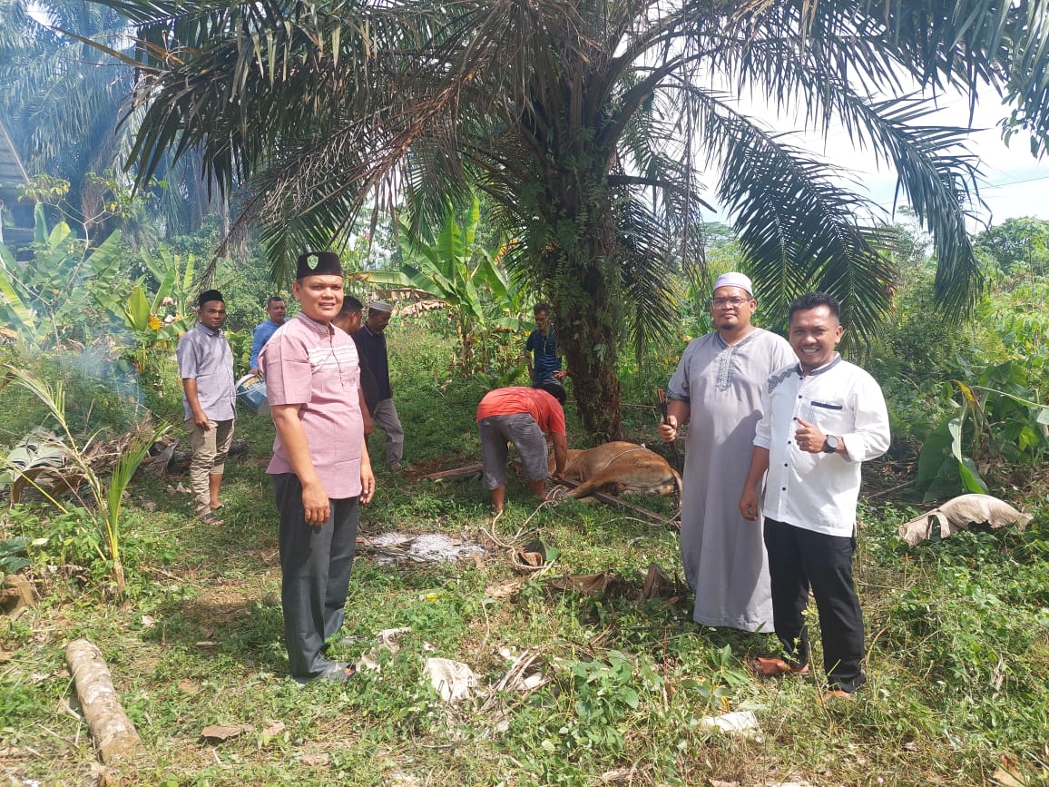 KNPI Palas Sembelih Sapi, Wujudkan Kepedulian Sosial Idul Adha
