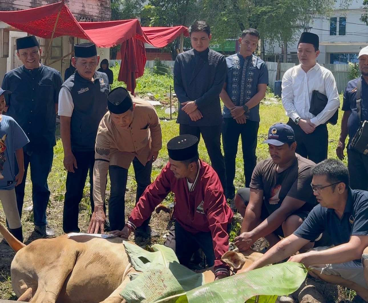 Dengan Gema Takbir, DPW Partai NasDem Sumut Sembelih 3 Ekor Hewan Kurban