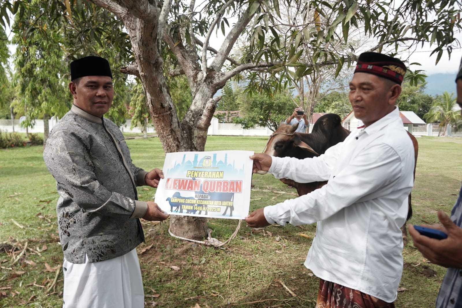 Pemkab Aceh Besar Kurbankan Empat Sapi