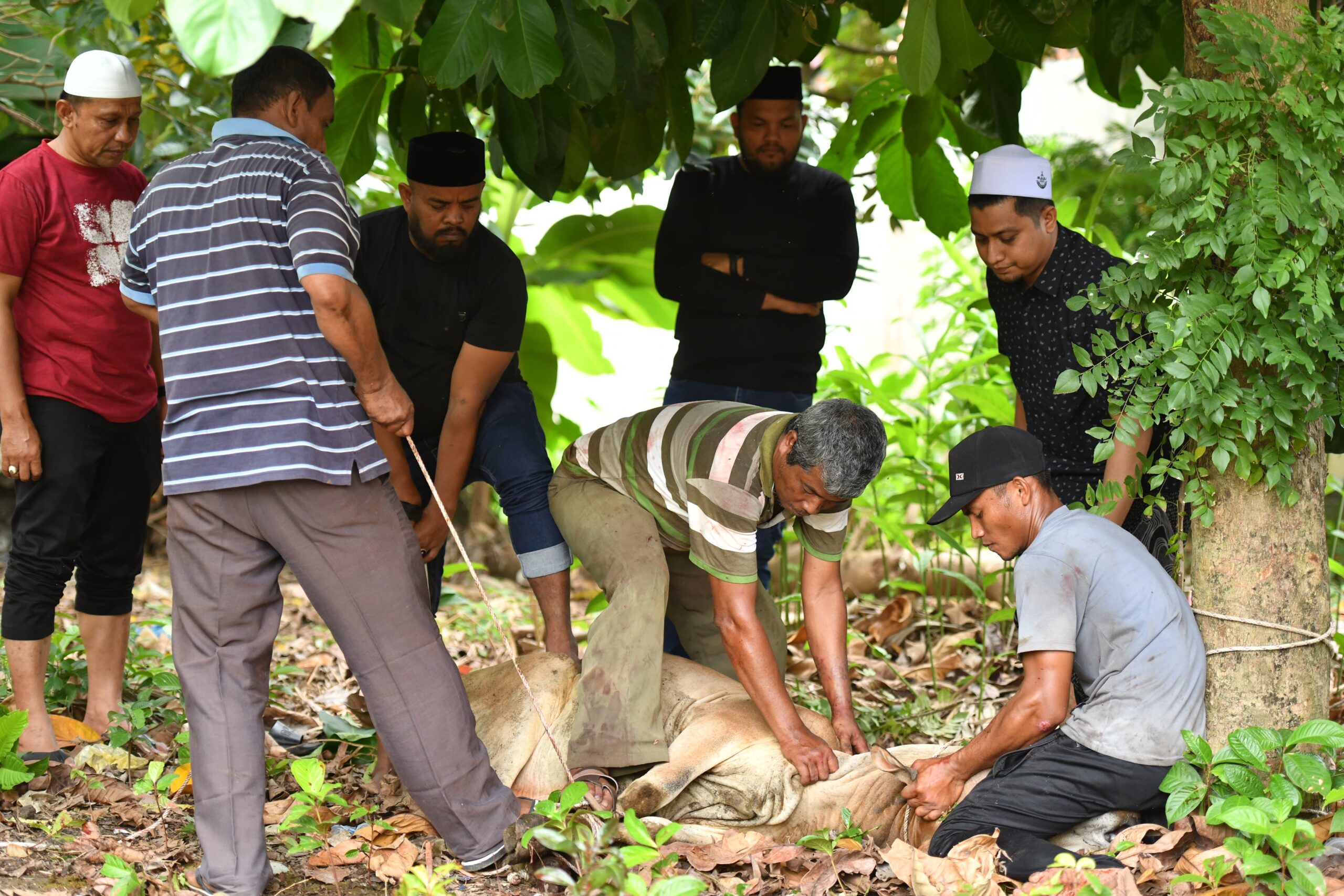 Irfansyah Dan KPA PA Langsa Salurkan Daging Kurban Mualem Ke Inong Bale