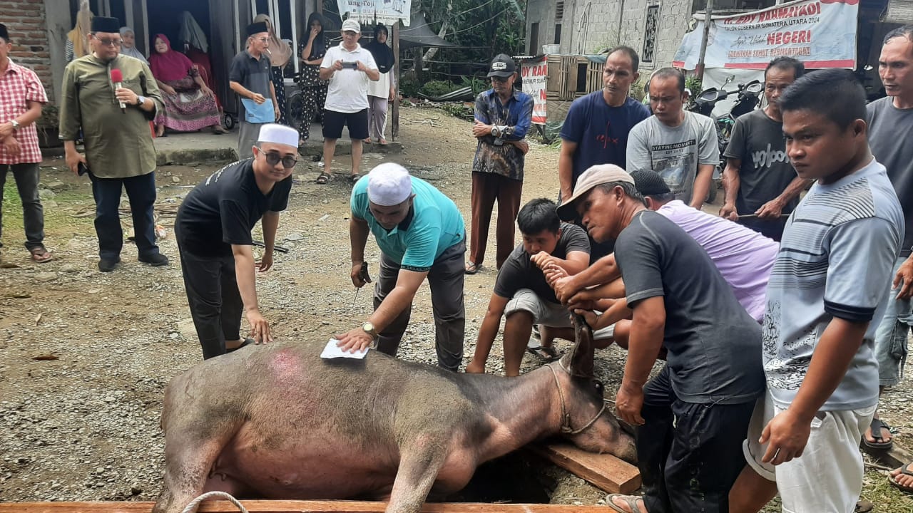 Haji Awaludin Pane, Pengusaha Medan Salurkan Tiga Kerbau Kurban Ke Nias