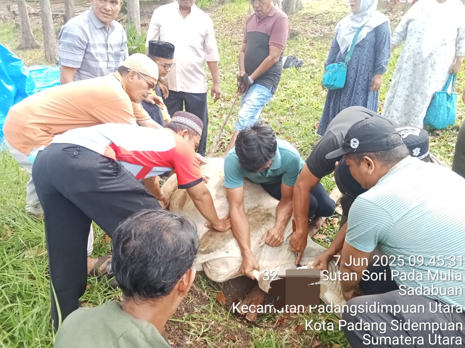 SMK Negeri 2 P.Sidimpuan Catat Sejarah Baru, Kurban 3 Lembu Dan 1 Kambing