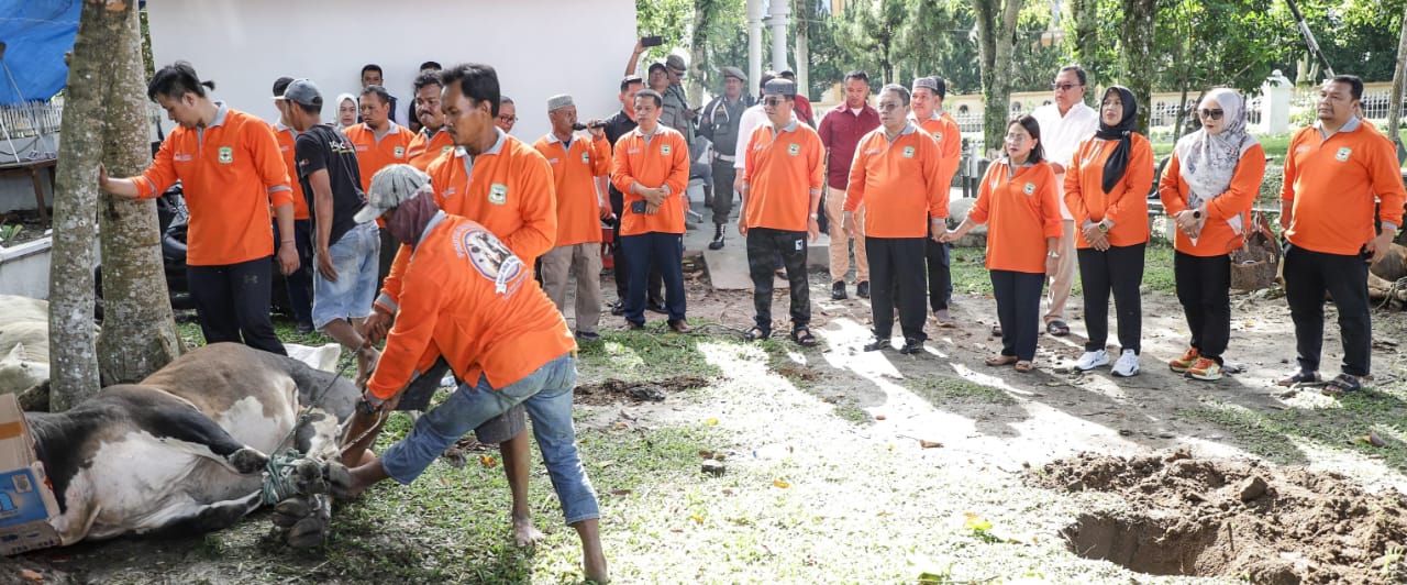 Wali Kota Pematangsiantar Saksikan Penyembelihan Hewan Kurban
