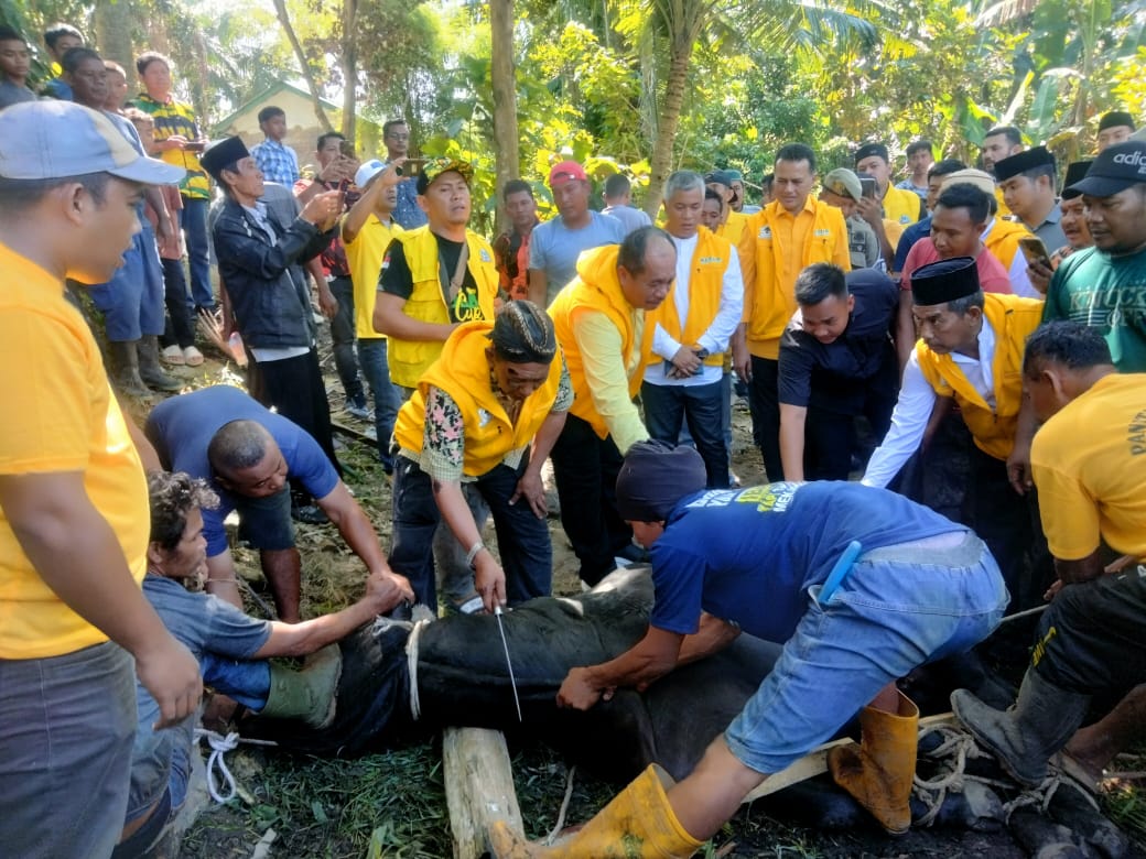 Golkar Sumut Sembelih 110 Hewan Kurban