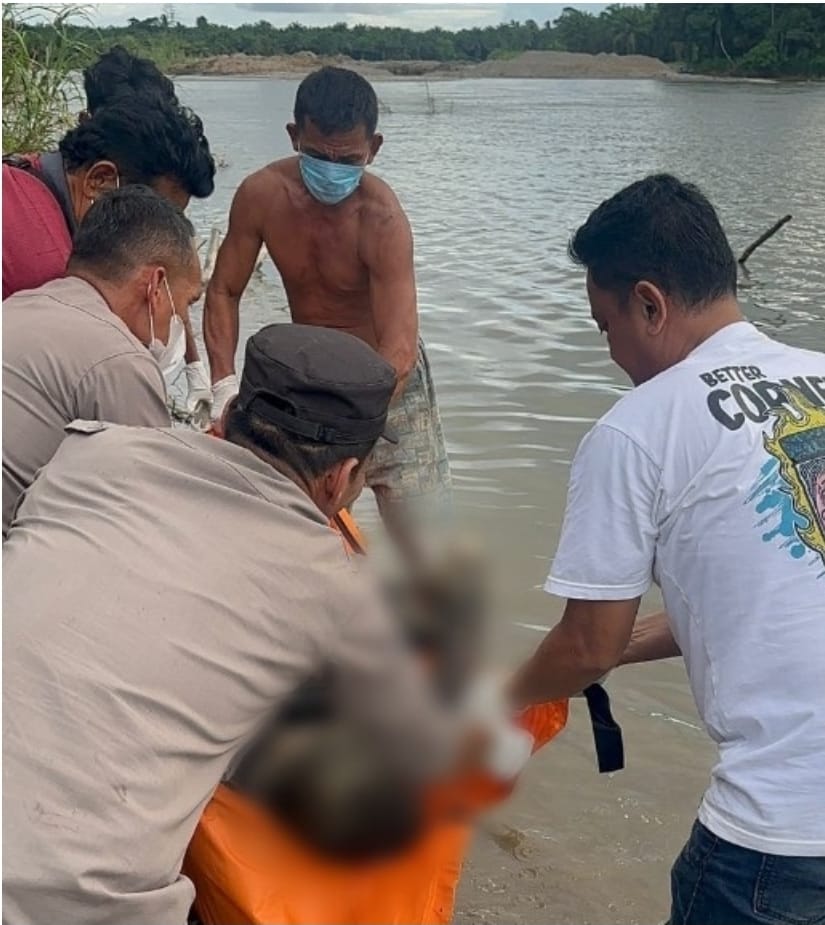 Mayat Tinggi Gemuk Di Sungai Batangtoru Tapsel