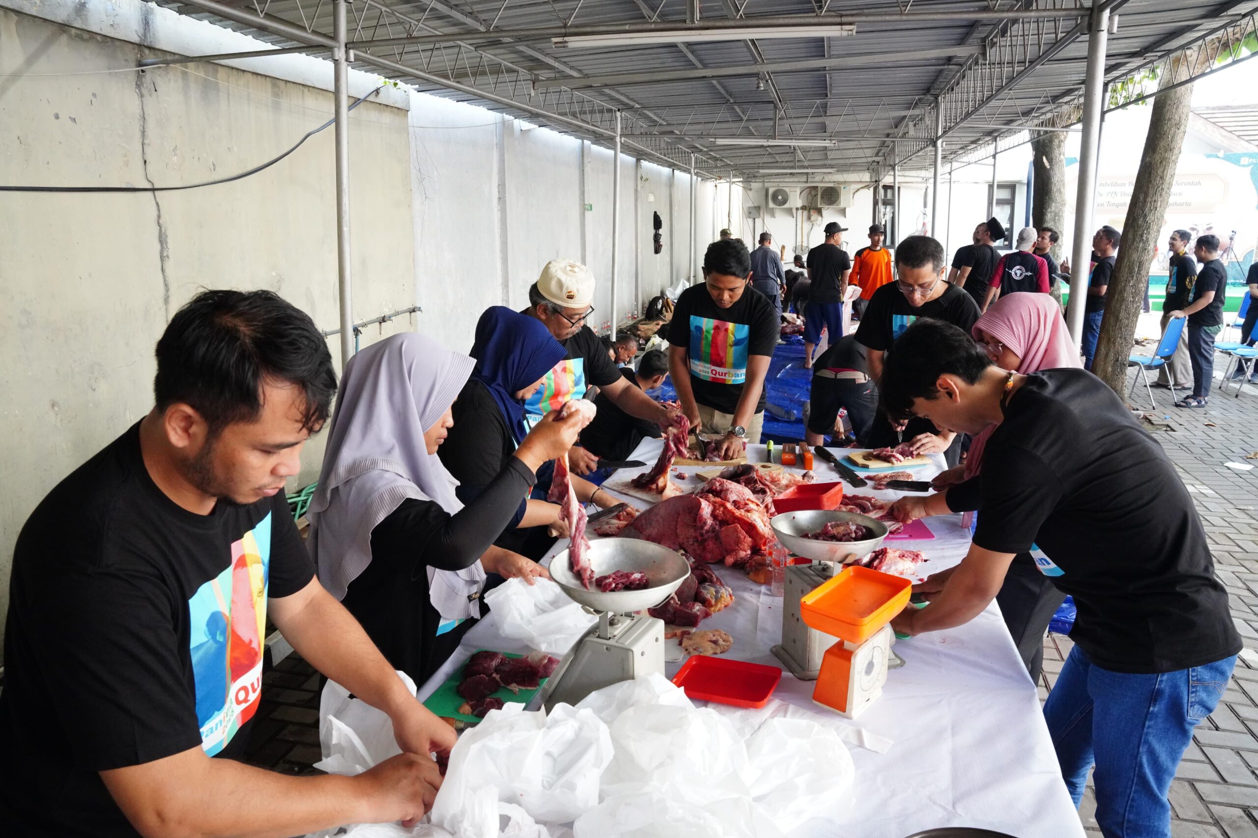 Rayakan Idul Adha 1446 H, PLN Salurkan 2.811 Ekor Hewan Kurban Ke Berbagai Daerah