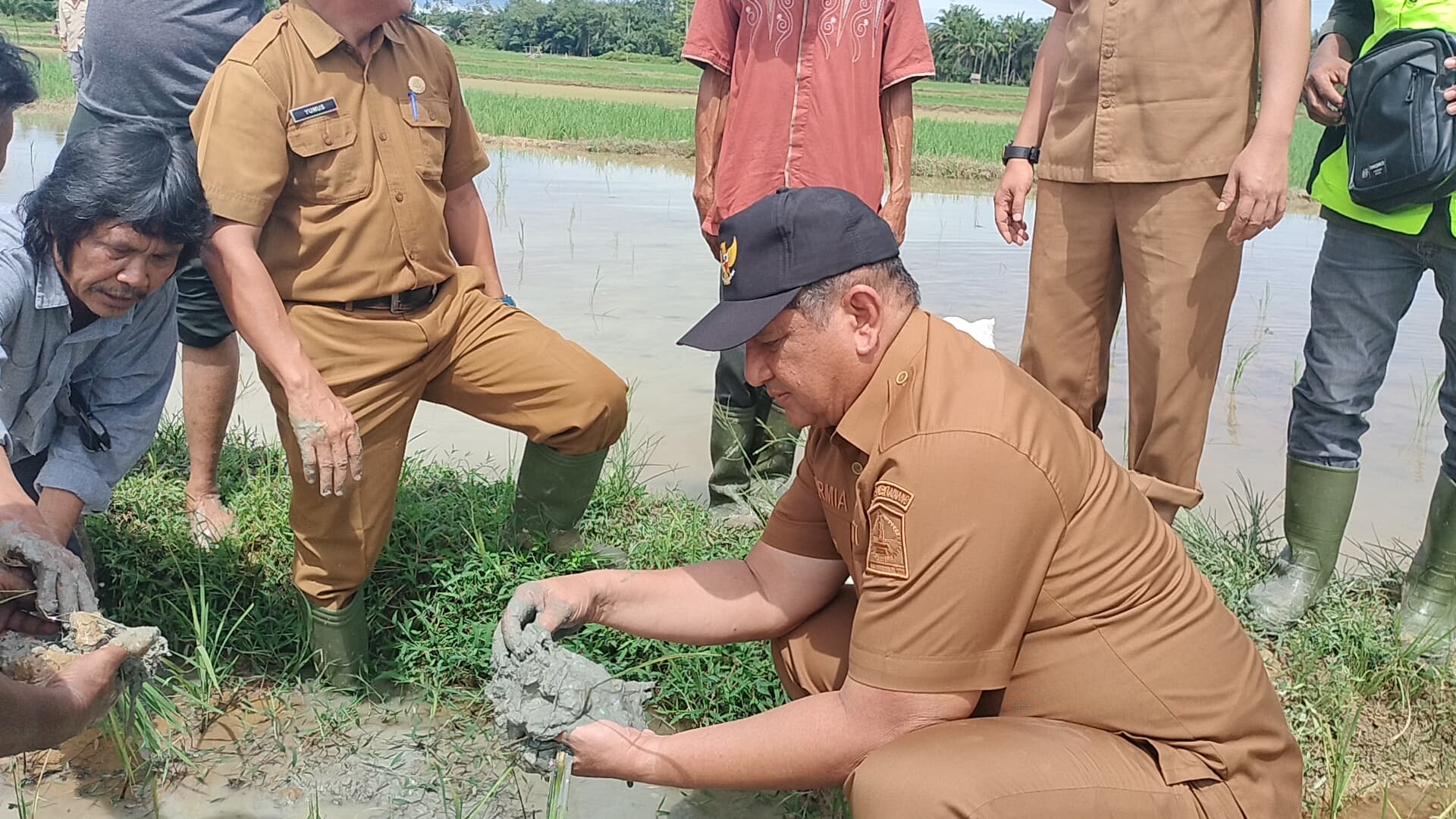 Bupati Aceh Tamiang Tinjau Areal Sawah Terancam Gagal Panen