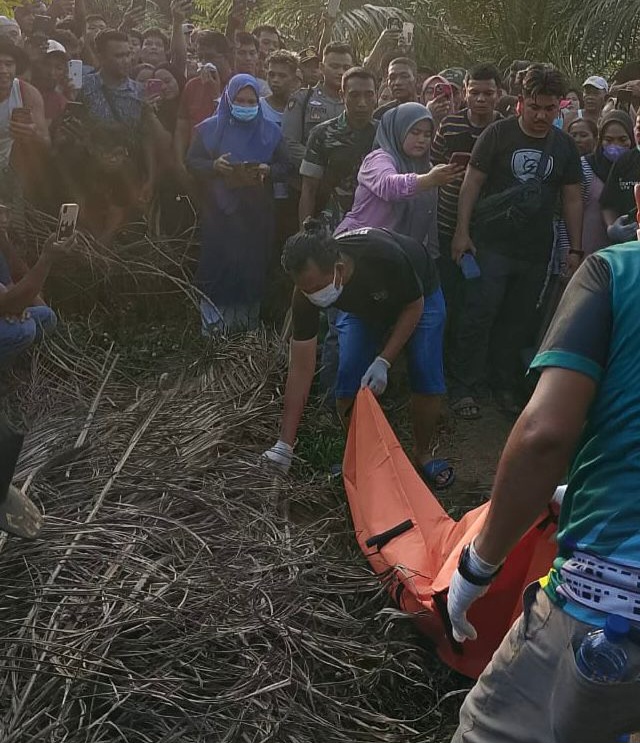 Kematian Centeng Kebun Di Silangkitang Terungkap