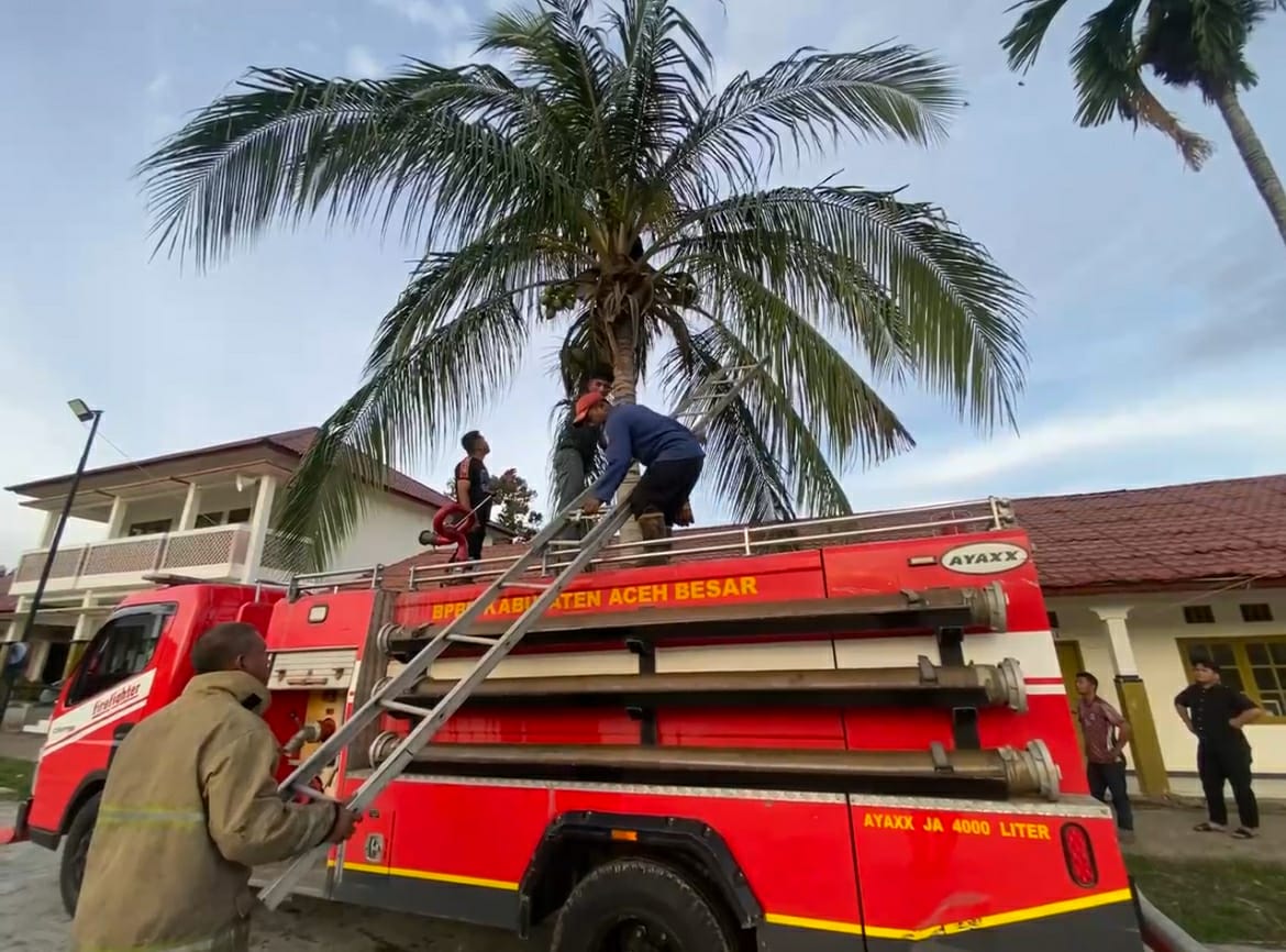 Seorang Pemuda Dievakuasi Dari Pohon Kelapa