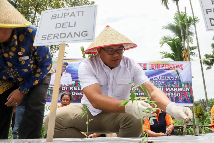 Bupati Deliserdang Jadikan Sibolangit Sentra Cabai Dan Kawasan Wisata