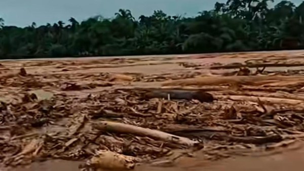 GEMPA-SU: Evaluasi Kinerja Kementerian Kehutanan Dan Cabut Izin Perusahaan Perusak Hutan