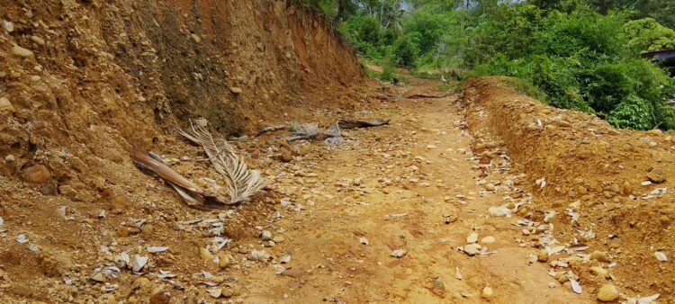 Kades dan Sekdes Jambur Baru Batang Natal Bungkam Terkait DD 2024-2025