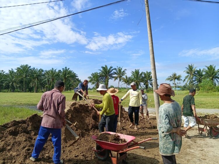 Warga Dusun IV Batang Siangi Gotong Royong Tinggikan Tanah Wakaf Perkuburan Muslim
