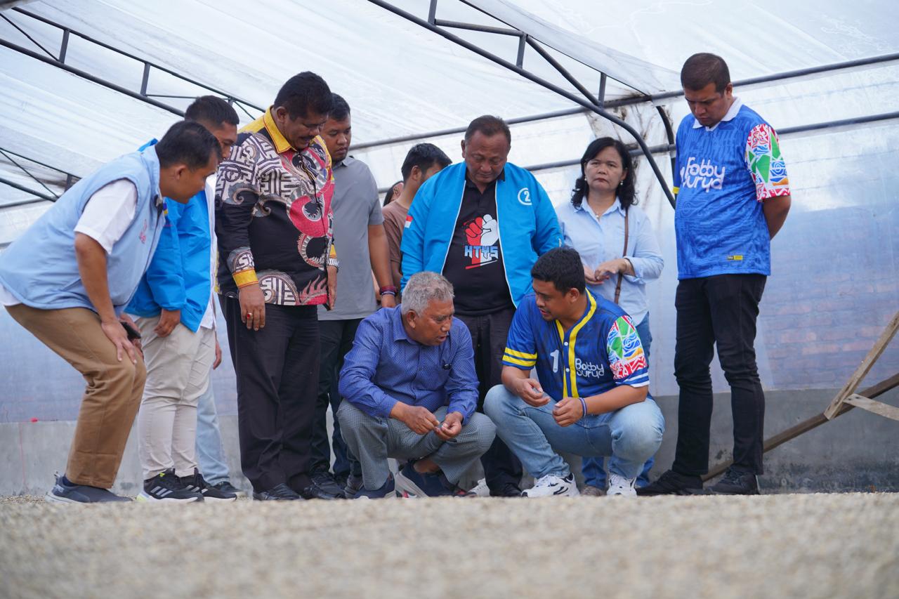 Bobby Nasution Bertemu Petani Kopi Lintong Di Humbahas