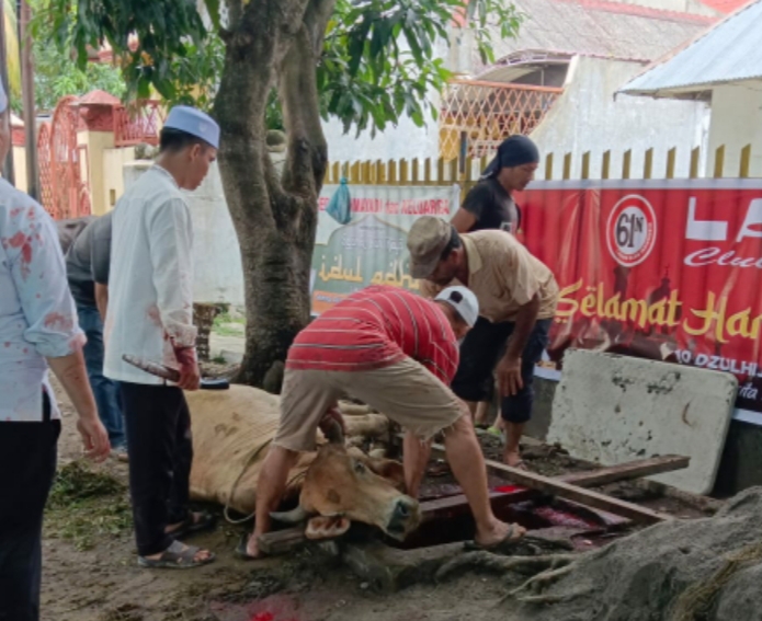 Ladon Sembelih 8 Hewan Kurban: Jadikan Momentum Idul Adha Untuk Berbagi Kepada Sesama